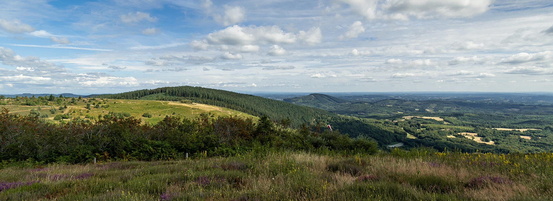 Mentions Légales du site